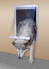 photo of Easy Big Dog Pet Door