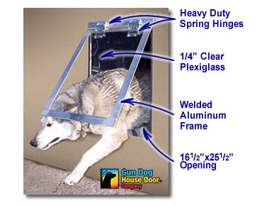 big dog door features